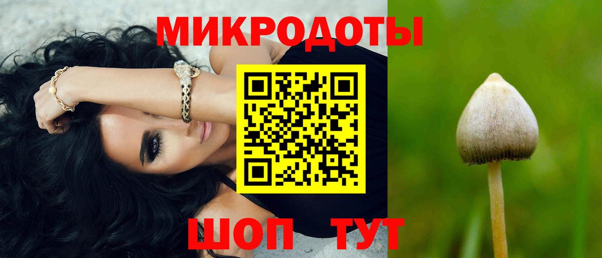 Псилоцибиновые грибы MAGIC MUSHROOMS Артёмовский