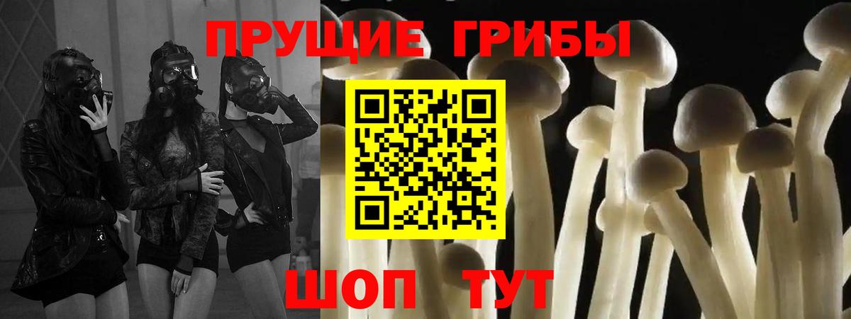 Артёмовский  Псилоцибиновые грибы Cubensis  Вход с VPN  Галлюциногенные грибы Magic Shrooms 